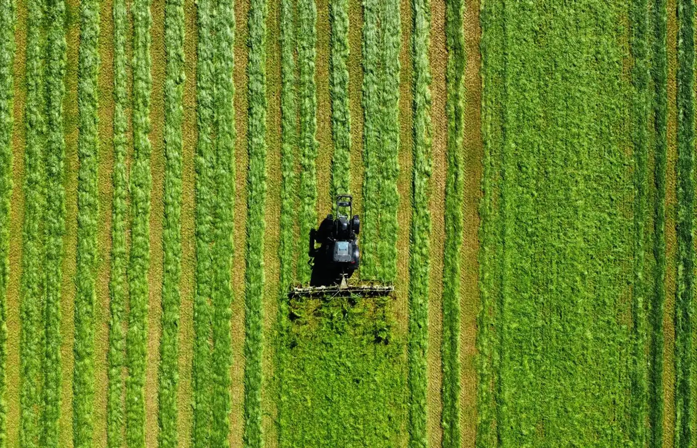 Agricultura