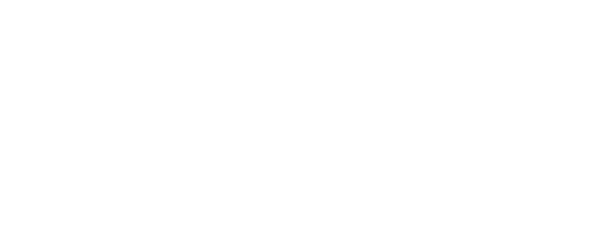 AVASIER SpA